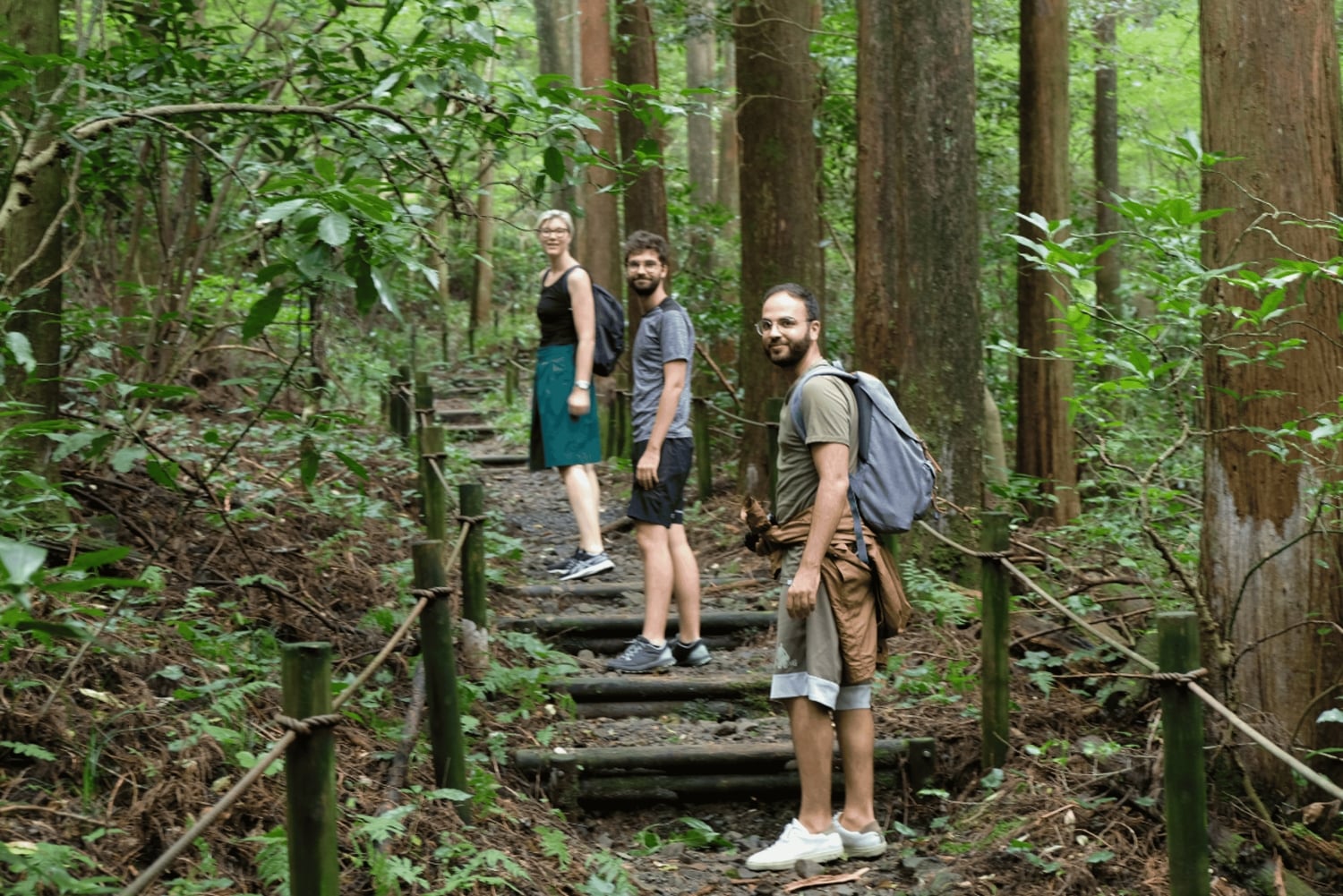 Хаконэ Хачири: пешеходная экскурсия по старому шоссе Токайдо