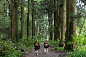 Hakone Hachiri: Wanderung auf dem alten Tokaido Highway