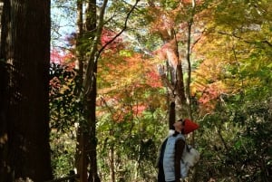 Hakone Hachiri: Wanderung auf dem alten Tokaido Highway