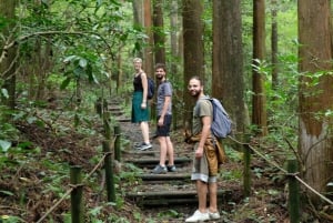 Hakone Hachiri: Wanderung auf dem alten Tokaido Highway