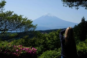 Hakone Hachiri: Wanderung auf dem alten Tokaido Highway
