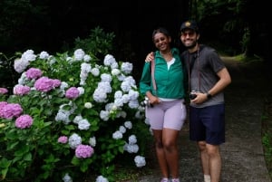 Hakone Hachiri: Wanderung auf dem alten Tokaido Highway