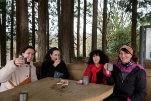 Hakone Hachiri: Wanderung auf dem alten Tokaido Highway