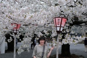 Hakone Hachiri: Wanderung auf dem alten Tokaido Highway