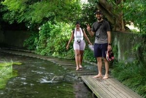 Hakone Hachiri: Wanderung auf dem alten Tokaido Highway