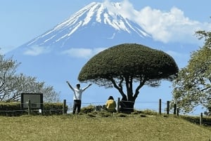 Хаконэ Хачири: пешеходная экскурсия по старому шоссе Токайдо