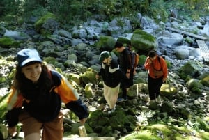 Хаконэ Хачири: пешеходная экскурсия по старому шоссе Токайдо