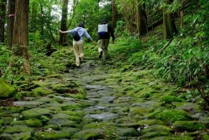 Хаконэ Хачири: пешеходная экскурсия по старому шоссе Токайдо