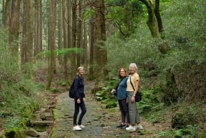 Хаконэ Хачири: пешеходная экскурсия по старому шоссе Токайдо