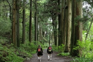 Хаконэ Хачири: пешеходная экскурсия по старому шоссе Токайдо