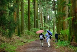 Хаконэ Хачири: пешеходная экскурсия по старому шоссе Токайдо