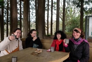 Хаконэ Хачири: пешеходная экскурсия по старому шоссе Токайдо