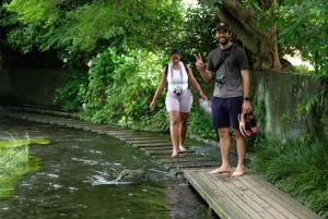 Хаконэ Хачири: пешеходная экскурсия по старому шоссе Токайдо