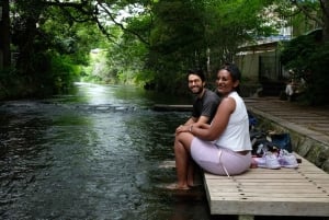 Хаконэ Хачири: пешеходная экскурсия по старому шоссе Токайдо