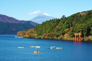 Hakone Owakudani & Gotemba Premium Outlet 1-Tages-Tour ab Tokio