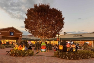 Hakone Owakudani & Gotemba Premium Outlet 1-Tages-Tour ab Tokio