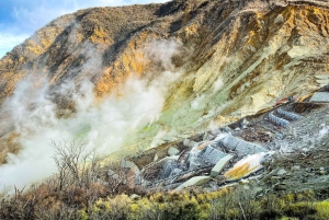 Hakone Owakudani & Gotemba Premium Outlet 1-Tages-Tour ab Tokio