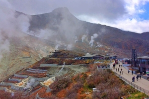 Hakone Owakudani & Gotemba Premium Outlet 1-Tages-Tour ab Tokio