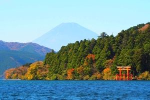 Hakone Owakudani & Gotemba Premium Outlet 1-Tages-Tour ab Tokio