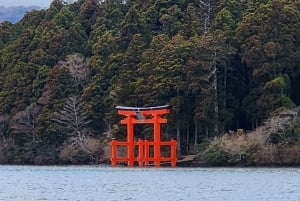 Hakone Private Customize Tour med engelsktalende sjåfør