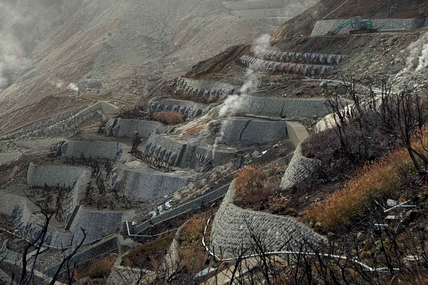 Hakone: Luonnonkaunis rannikkokierros ja yksityinen onsen-kierros Fuji-Viewillä