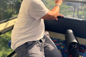 Hakone: Luonnonkaunis rannikkokierros ja yksityinen onsen-kierros Fuji-Viewillä