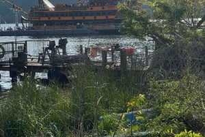 Hakone: Luonnonkaunis rannikkokierros ja yksityinen onsen-kierros Fuji-Viewillä