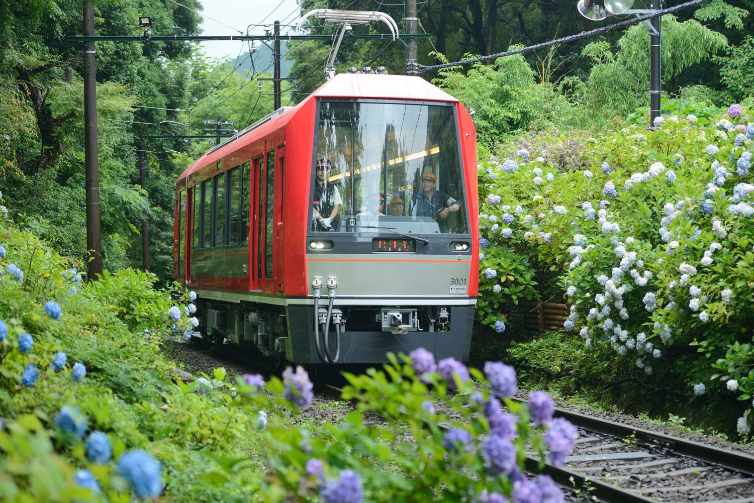 Hakone: Zugpass mit unbegrenzten Fahrten und Ermäßigungen für Aktivitäten