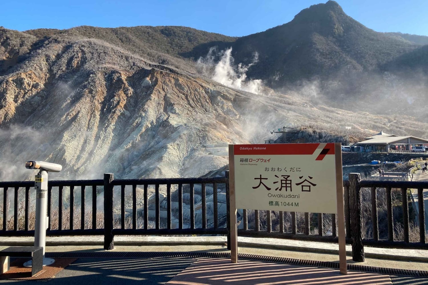 Hakone: Togpas med ubegrænsede ture og aktivitetsrabatter