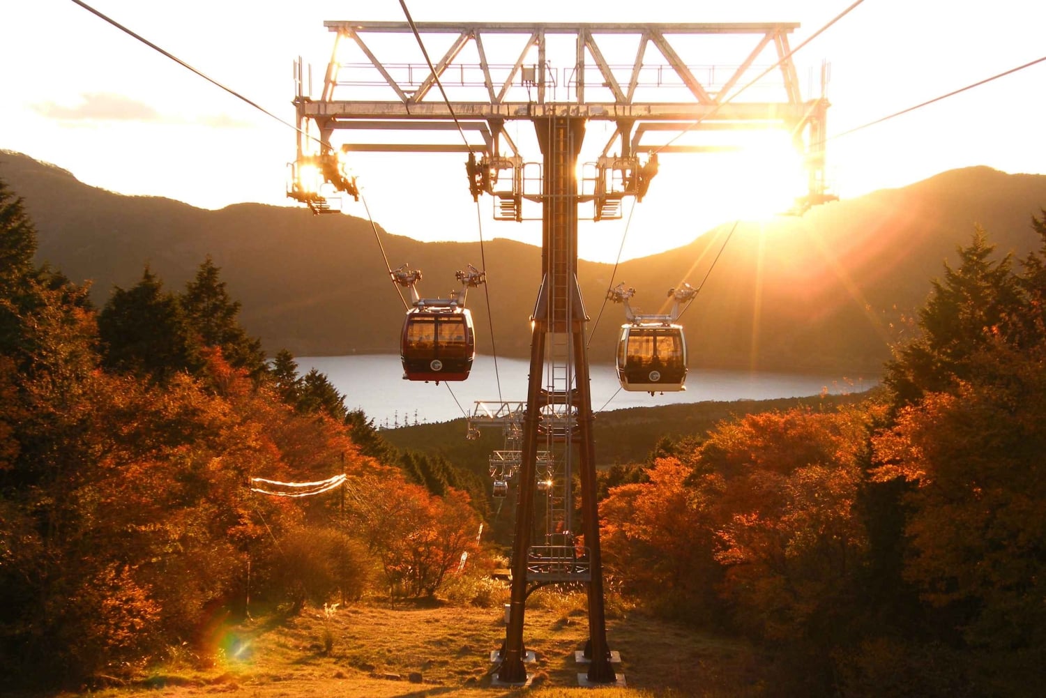 Hakone: Togpas med ubegrænsede ture og aktivitetsrabatter
