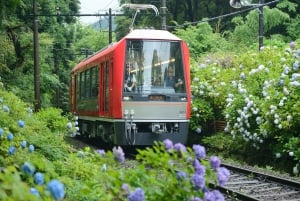 Hakone: treinpas met onbeperkte ritten en activiteitenkortingen