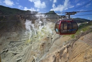 Hakone: Togpas med ubegrænsede ture og aktivitetsrabatter