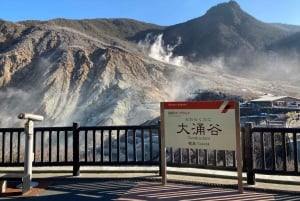Hakone: Togpas med ubegrænsede ture og aktivitetsrabatter