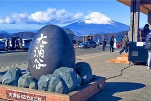 HakonexFuji: Owakudani, jezioro Ashi, darmowy statek piracki + kolejka linowa.