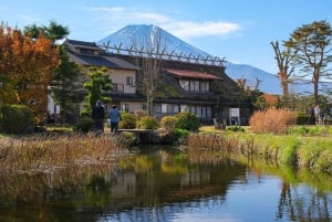 HakonexFuji: Owakudani, jezioro Ashi, darmowy statek piracki + kolejka linowa.