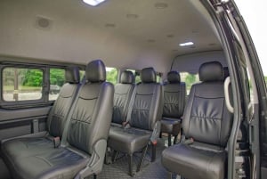 Hakuba: Private transfer from/to Tokyo/HND by minibus max 9