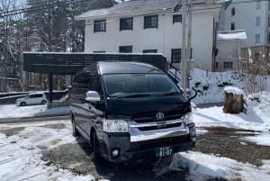 Hakuba: Private transfer from/to Tokyo/HND by minibus max 9