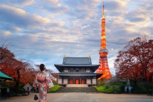 Haneda Airport (HND) Private Transfer to/from Tokyo
