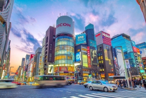 Haneda Airport (HND) Private Transfer to/from Tokyo