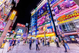 Haneda Airport (HND) Private Transfer to/from Tokyo