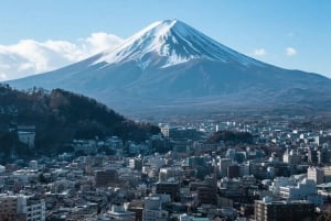 Aeropuerto de Haneda (HND): traslado privado a Hakone/Monte Fuji