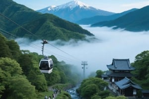 Aeropuerto de Haneda (HND): traslado privado a Hakone/Monte Fuji