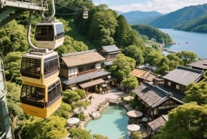 Aeropuerto de Haneda (HND): traslado privado a Hakone/Monte Fuji