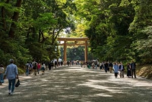Harajuku: Kunstgalerie-Tour mit Okonomiyaki-Kochstunde