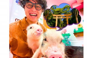 Harajuku : Blend of Tradition & Pop Culture for Family Tour