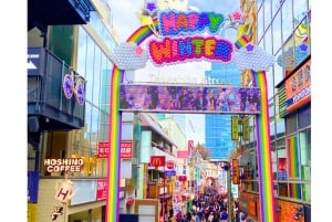 Harajuku : Blend of Tradition & Pop Culture for Family Tour