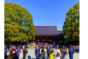 Harajuku : Blend of Tradition & Pop Culture for Family Tour