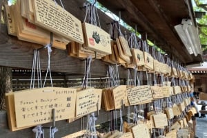 Harajuku : Blend of Tradition & Pop Culture for Family Tour