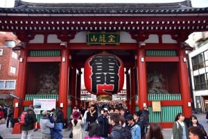 Highlight walking tour in Tokyo with licensed guide