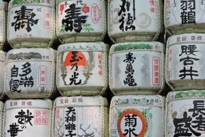 Highlight walking tour in Tokyo with licensed guide